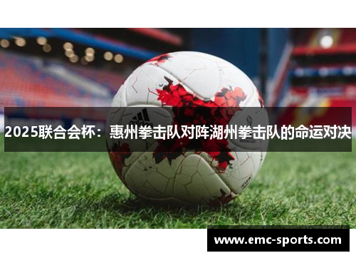 2025联合会杯：惠州拳击队对阵湖州拳击队的命运对决